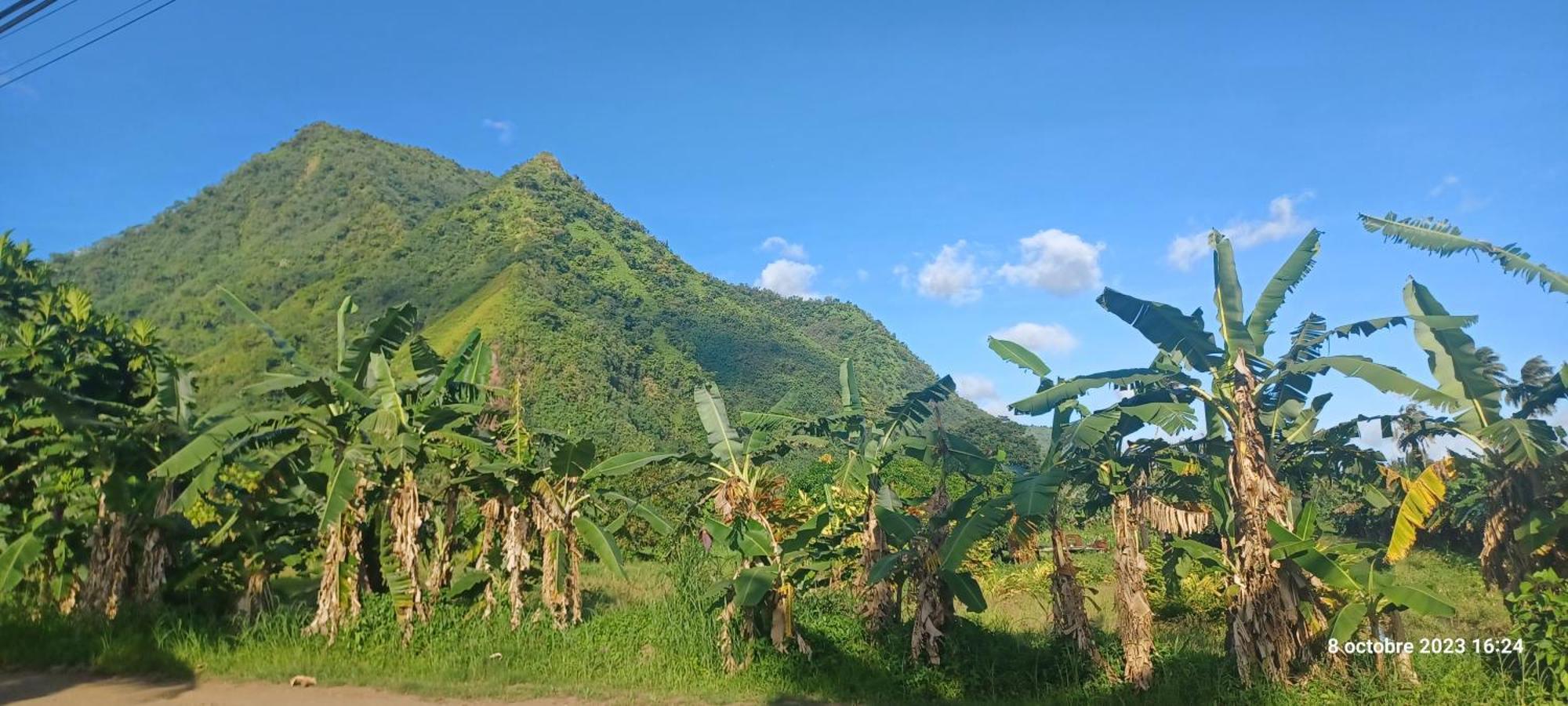 Hava'E Lodge Teahupoo Екстер'єр фото
