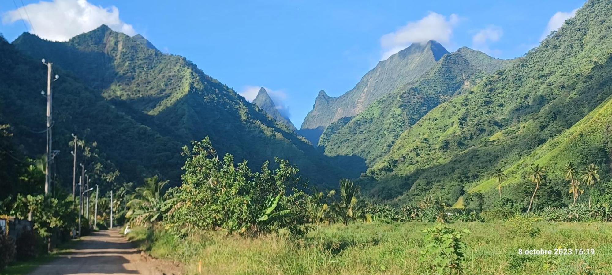 Hava'E Lodge Teahupoo Екстер'єр фото